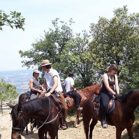 Hotel Rural Ocell Francoli *