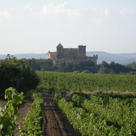 Rural Ocell Francoli